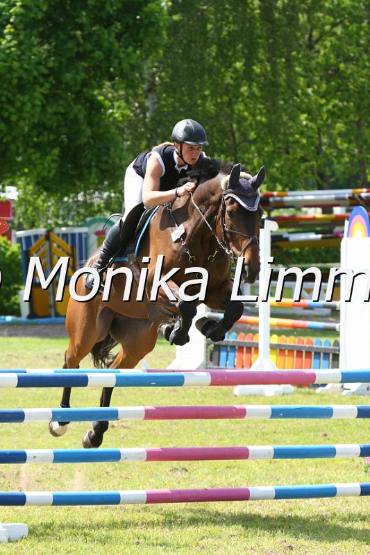 204M4061_Haeuslers Luftikus_Spring_L.JPG